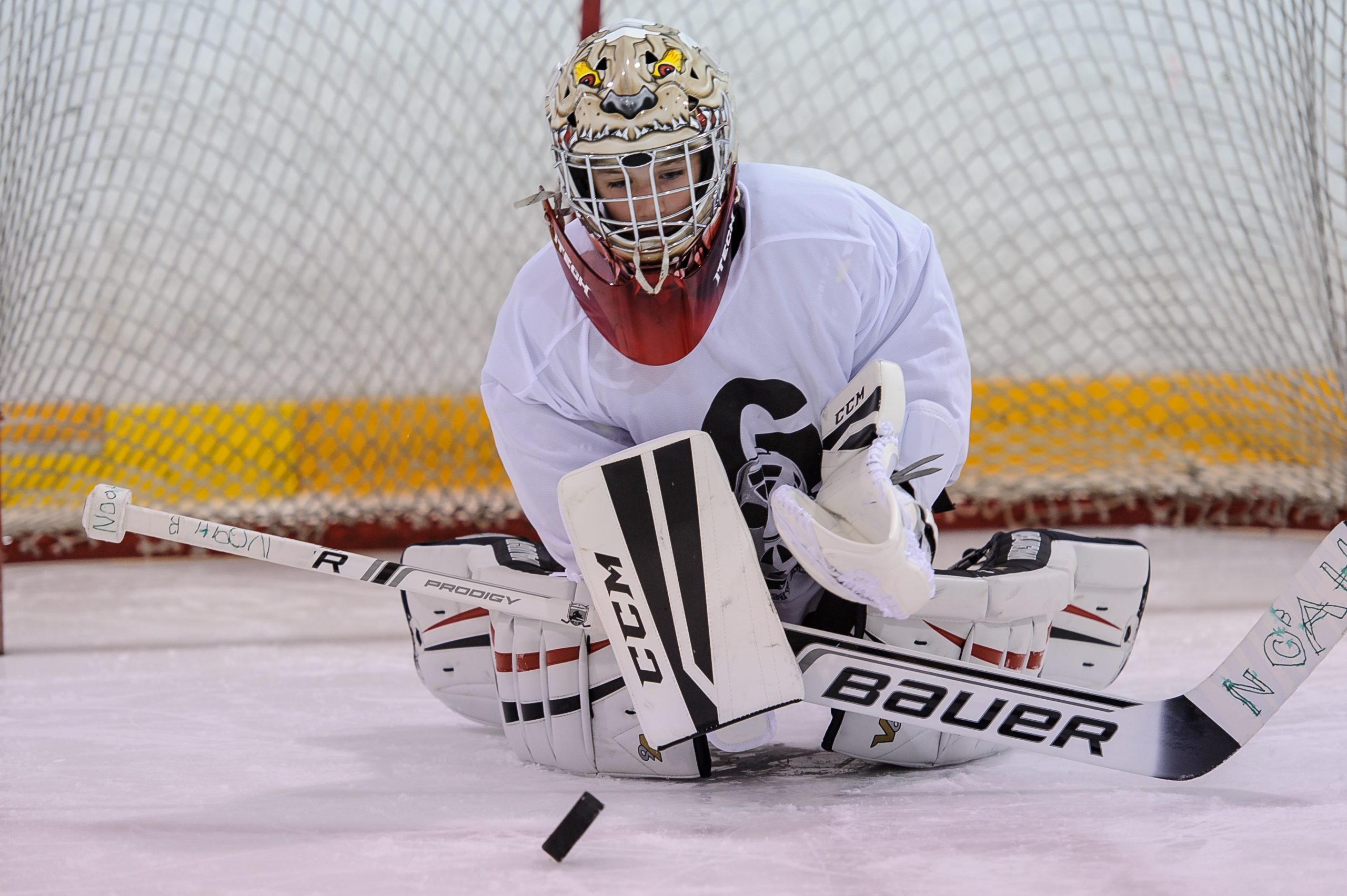 Goalie Army Academy - Ottawa Goalie Training Goalie School Goalie Camp